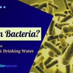 Coliform Bacteria: Acceptable levels in Well, Spring, Pool & Drinking Water