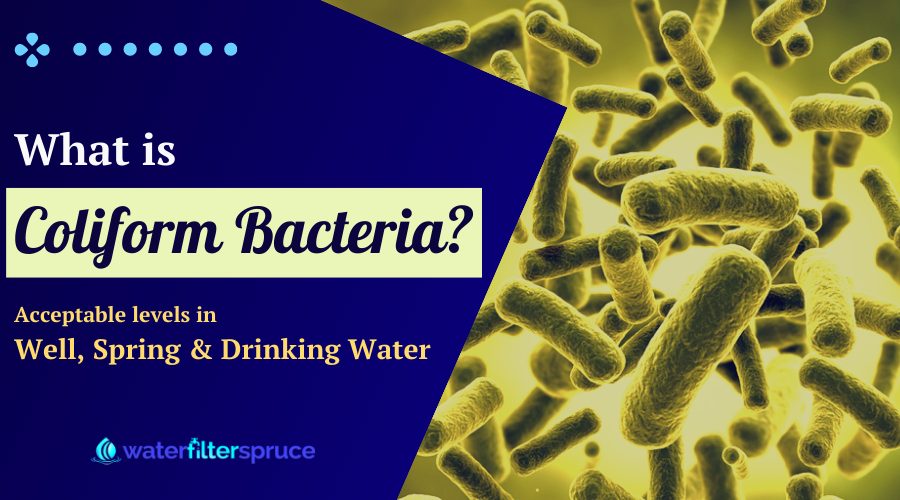 Coliform Bacteria in Well, Spring, and Drinking Water