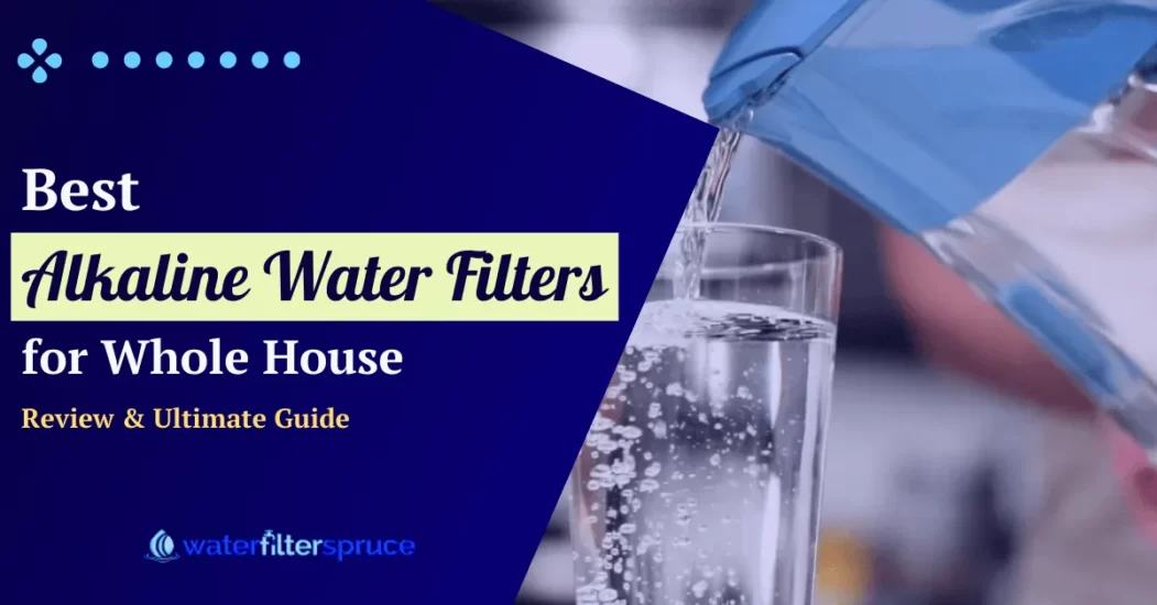 Best Alkaline Water Filters for Whole House