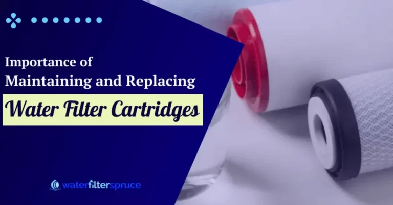 Importance of Maintaining and Replacing Water Filter Cartridges